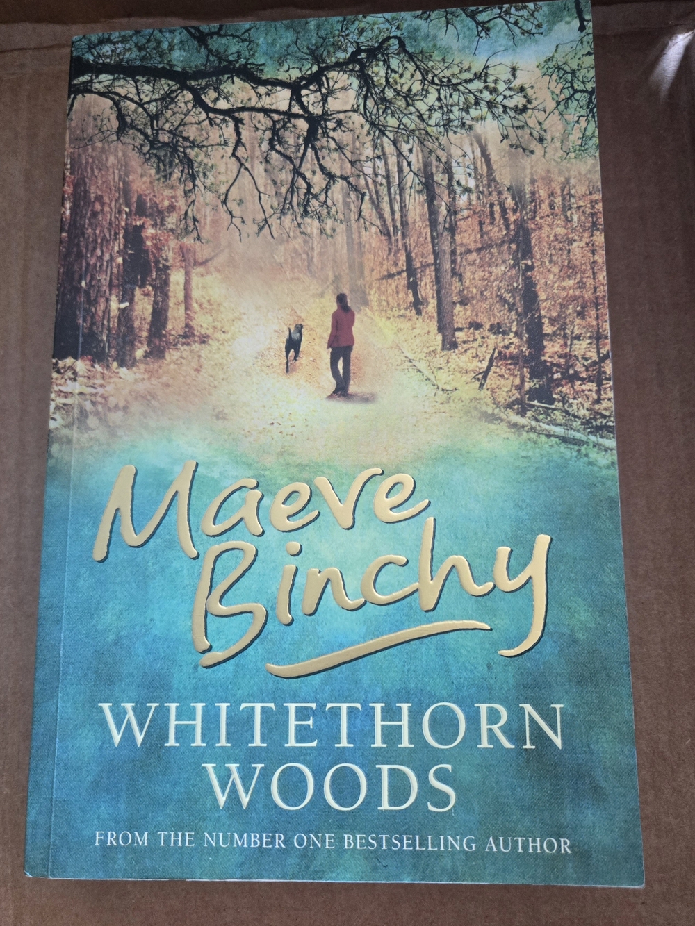 Whitehorn Woods By Maeve Binchy